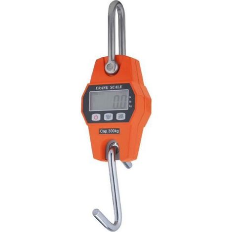 1 Balance de levage, crochet, 300 kg, écran LCD, modes Kg LB N, pour grue (1/4)