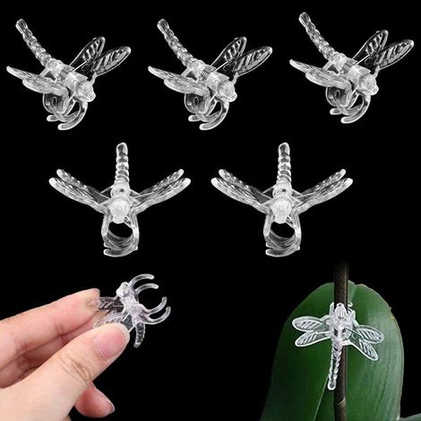 100 clips pour orchidées, supports pour plantes de jardin, clips pour orchidées libellule (transparents) (1/5)