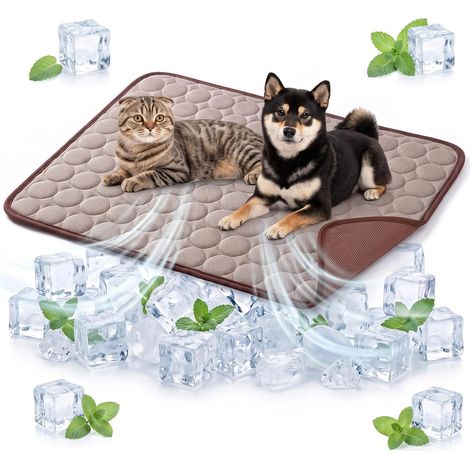 Tapis Rafraîchissant Chien et Chat Soie Glacée Marron 70x55cm (1/5)