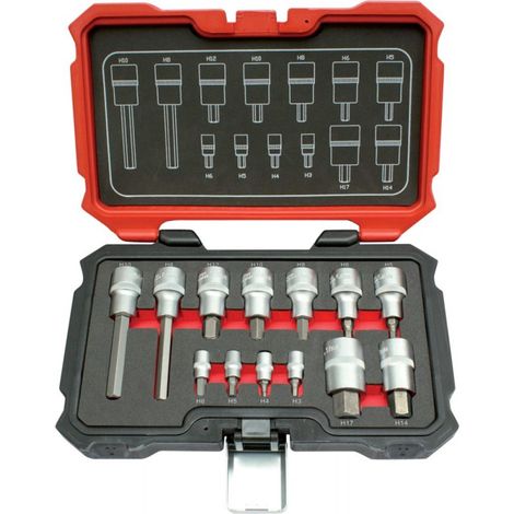 Juego.1/4+1/2" 13 unidades Innensechsk.FORTIS
