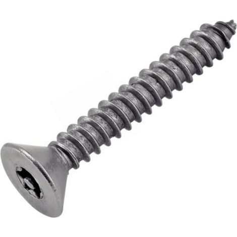 Vis Tôle Inviolable TF Torx + Téton 3.5X25 Inox A2 (1/2)