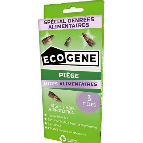 Piège à mites alimentaires, 3 pièces.