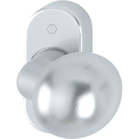 Poignée porte FS-PT -Knopf auf Ros. FS-50G/55 FEST2,F1 (1/3)