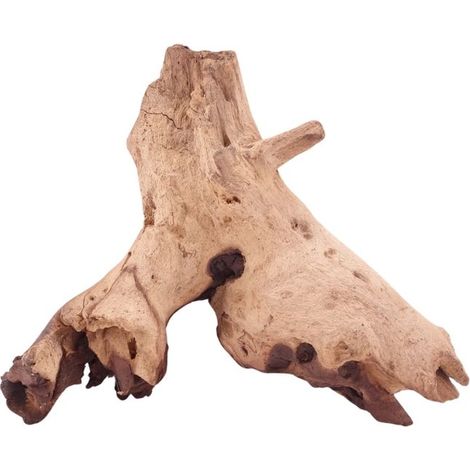 M Mopani Wurzel Nr.4757 Holz Deko Aquascaping