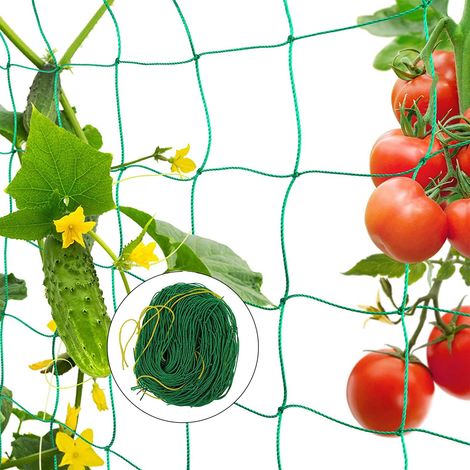 Filet à Plantes Grimpantes, Filet de Treillis Jardin de Support Plante, Filet à Ramer Jardin Potager pour Récolte de Concombres Légume Tomates Plantes Grimpantes (2 x 5 m) (1/5)