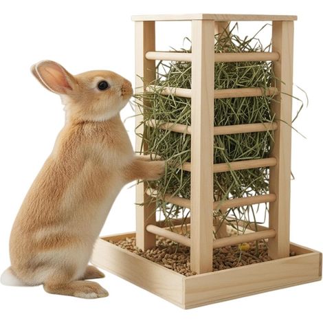 Mangeoire à foin pour lapin  Support en bois pour petits animaux  Support à foin pour lapins  Grande capacité  Pour petits animaux de compagnie, furets, écureuils, chinchillas, hamsters, hérissons (1/5)