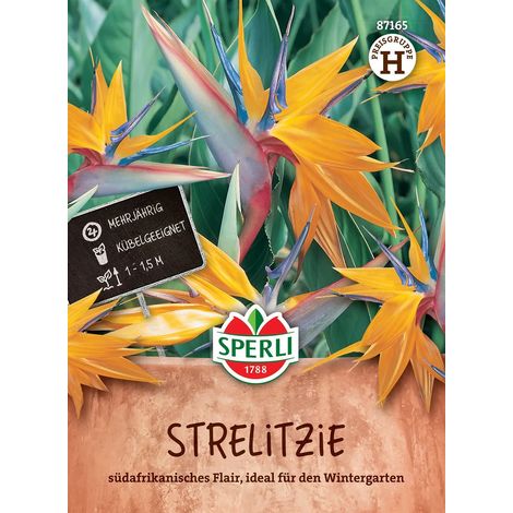 Sperli Strelitzien Paradiesvogelblumen - Blumensamen (1/2)