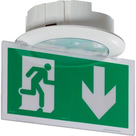 Legrand – BAES d'évacuation eco 1 à leds 45 lm 1 heure – Plastique IP66 IK10 – Fonction SATI connectée pour diagnostic à distance