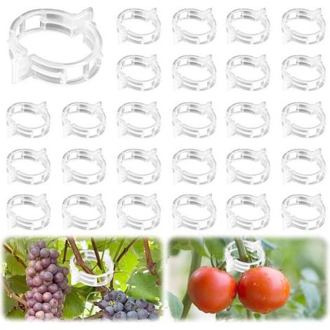 Set mit 200 Kunststoff-Klammern für Tomaten, ideal für Kletterpflanzen und Stützen.