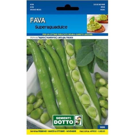 SEMENTI FAVA SUPERGUADULCE