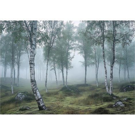 Papier peint mural forêt bouleaux 3D nature brume intissé grand format design intérieur salon chambre pas cher 150x105 cm (1/5)