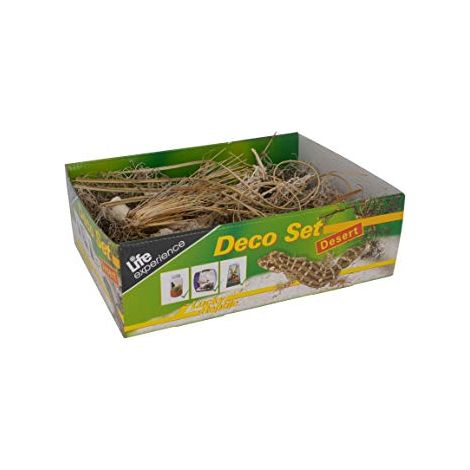 Lucky Reptile Deco Set Desert – Set Decorazioni a Tema Deserto per Terrari (1/4)