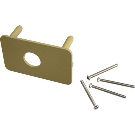 Contreplaque pour verrou V136 système RADIAL NT+/NT diamètre 29mm vernie – VACHETTE - 755V