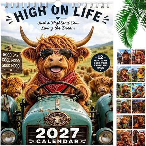 Calendrier mural 2027 avec des vaches des Highlands amusantes -