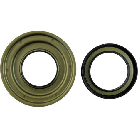 KIT PISTONI DL501 0B5 S-TRONIC 08+
