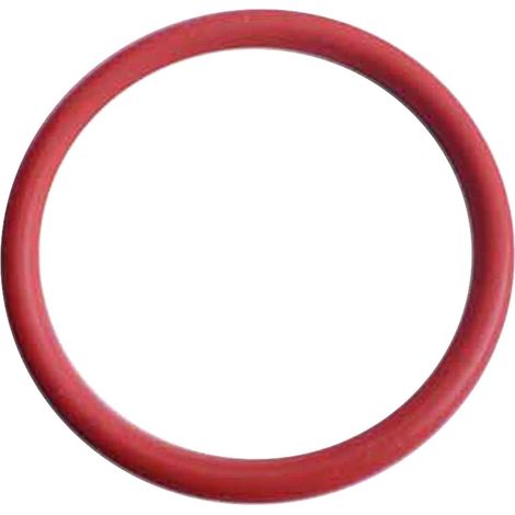 Anello di tenuta 26,64x2,62 originale - Idropulitrici - KÄRCHER - 317259 (1/2)
