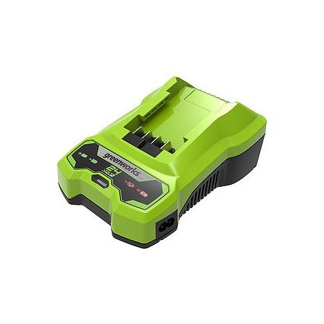 Chargeur de batteries GREENWORKS 2932407 (1/9)