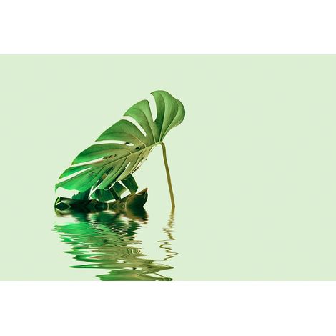 Papier peint panoramique jungle vert et blanc Tapisserie panoramique feuille sur eau Papiers peints panoramiques zen pour salle de bain (1/2)