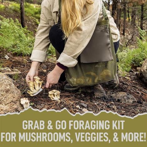 Kit de Recherche de Champignons, Sac à Champignons et Couteau à Champignons avec Brosse, Sac de Recherche de Champignons (1/5)