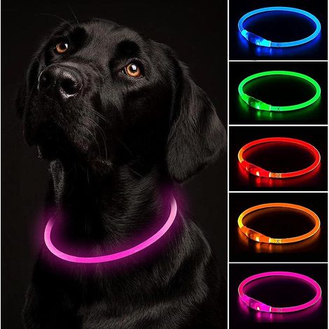 Verstellbares, wasserdichtes und per USB aufladbares LED-Hundehalsband – 3 Modi, geeignet für kleine, mittlere und große Hunde (1/5)