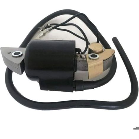 Bobine d'allumage compatible avec les motoculteurs G150 G200 G300 F400 F500 FR500 F600 WT20 30560-883-015 30500-887-303 Pièces (1/4)