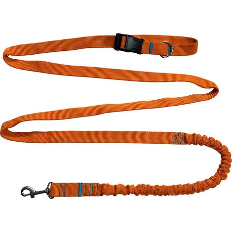 Hundeleine mit Stoßdämpfer, 380 cm, orange, verstellbar, freihändig, hergestellt in Polen (1/5)
