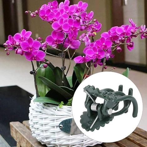 20 Stück blütenförmige Pflanzenclips, Orchideenstängel-Befestigungsclips, Gartenwerkzeugzubehör, Pflanzen-, Gemüse- und Rankenbefestigungsklammern (Grün) (1/4)