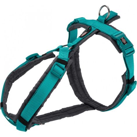 Premium pettorina trekking: L: 70-85cm/25mm acquamarina