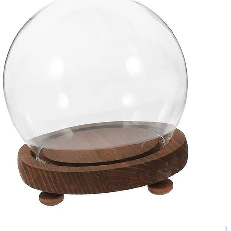 Vitrine en verre transparent avec dôme anti-poussière, forme sphérique décorative de qualité supérieure, idéale pour plantes et fleurs.18 cm (1/5)