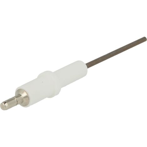 Électrode d'ionisation