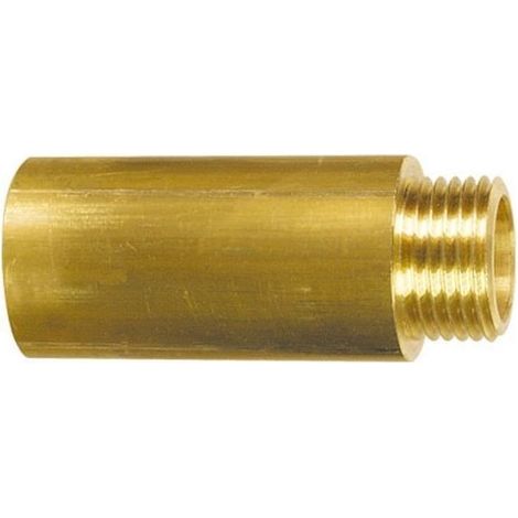 Rallonge 1/2" L-40 LAITON