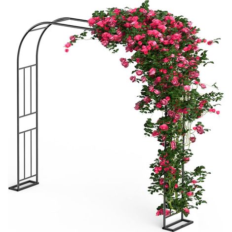 Garden Arch for Climbing Plants 240 x 240 cm Metal Rose Arch 1.2 m 1.8 m 2.4 m Three Adjustable Widths Rose Arch Vine Pergola Garden Gazebo Party Decoration (1/5)