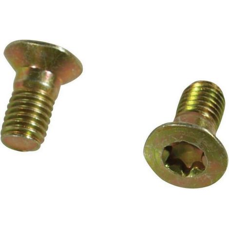 Tornillo M10x20 Mullos TRIOLIET-MULLOS 84912