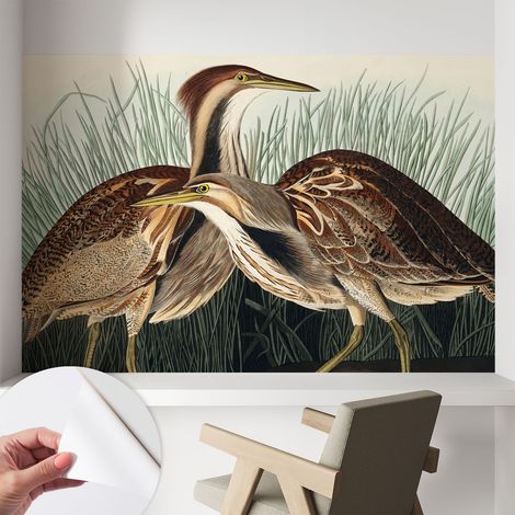 Papier peint autocollant avec imprimé pour intérieur moderne application facile a motif Oiseaux réalistes 104x70 cm (1/5)