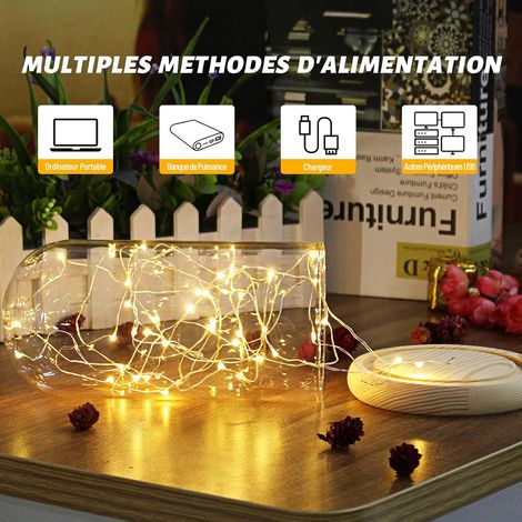Guirlande lumineuse à LED et à piles en fil de cuivre pour éclairage intérieur et extérieur, chambre, décoration de mariage, fête, Noël, décoration d'arbre (Blanc chaud, 20pièce 1M10Leds) (1/4)