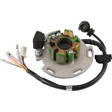 Stator, rotor et volant moteur 150 cm3 compatibles avec les moteurs 150 cm3/190 cm3 (1/5)
