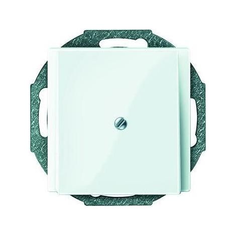 Merten Einsatz Kabelausl polarweiß glänzend System M 296319 Krallen/Schraubbef (1/5)