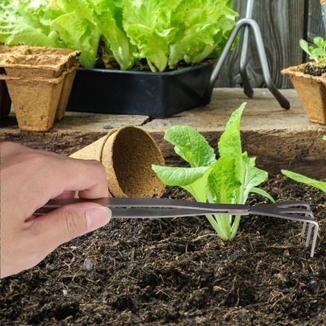 Pince à racines 2 en 1 en acier inoxydable pour bonsaï et jardinage (1/5)