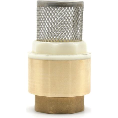 Clapet Anti Retour Clapet Anti Retour avec Crepine Filetage Interne 3/4" Laiton Clapet Pied pour Pompe a Eau, Tuyau Arrosage, Recuperateur d Eau de Pluie, Robinet de Jardin (1/5)