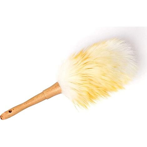 Little feather duster, feather duster (1/5)