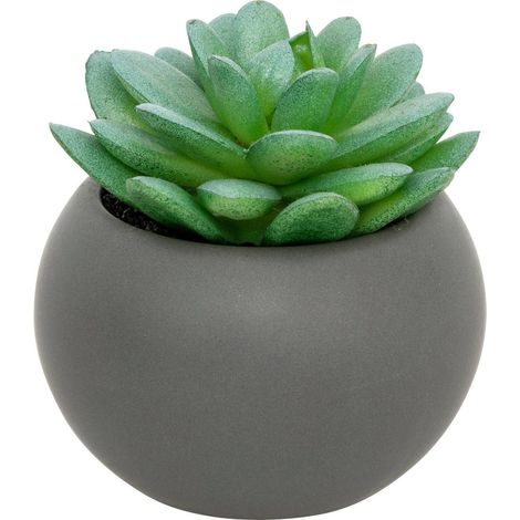 Pianta grassa in vaso H13 - Modèle h/gris - Atmosphera créateur d'intérieur
