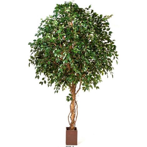 Ficus exotique géant artificiel H 315 cm 6600 feuilles en pot - dimhaut: H 315 cm - couleur: Vert