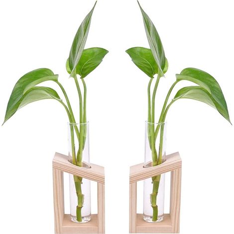 Vase en Tube à Essai - 2 Pièces en Verre Avec Cadre en Bois Pour Propagation Plantes Hydroponiques, Décoration Bureau et Domicile
