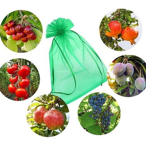(30 x 20 cm, 100pcs) Sachets de protection pour grappes de raisin, verts, avec cordon de serrage, protection complète contre les guêpes et les oiseaux (1/5)