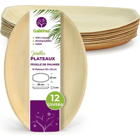 12 Grands Plats Jetables Feuille de Palmier 38x25 cm pour Buffet (1/5)
