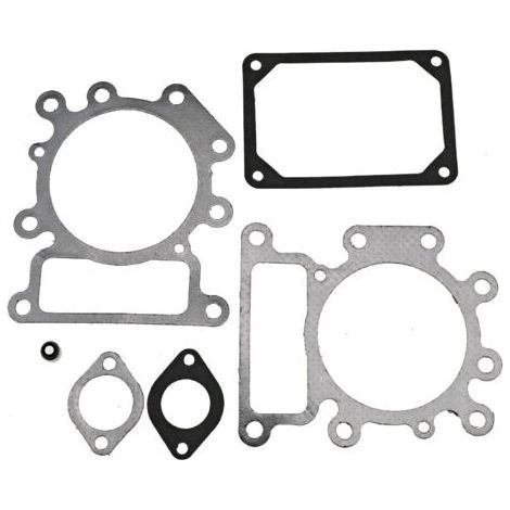 Kompletter Satz Partman-Dichtungen und O-Ringe für Briggs & Stratton / Electrolux Motoren (794152, 690190) (1/5)