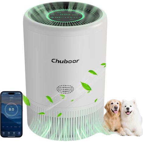 Purificateur d'air, filtre HEPA H13, fonctionnement ultra-silencieux, Blanc-wifi, 2.5kg (1/2)