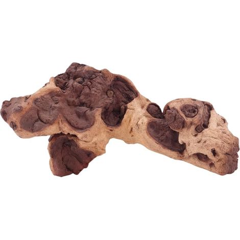 M Mopani Wurzel Nr.4793 Holz Deko Aquascaping
