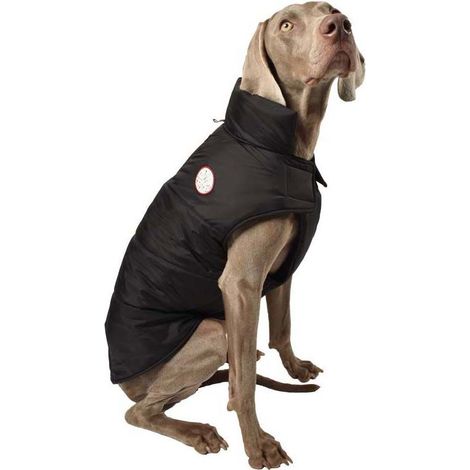25 cm: Giubbotto piumino modello Dog imbottito impermeabile nero per cani