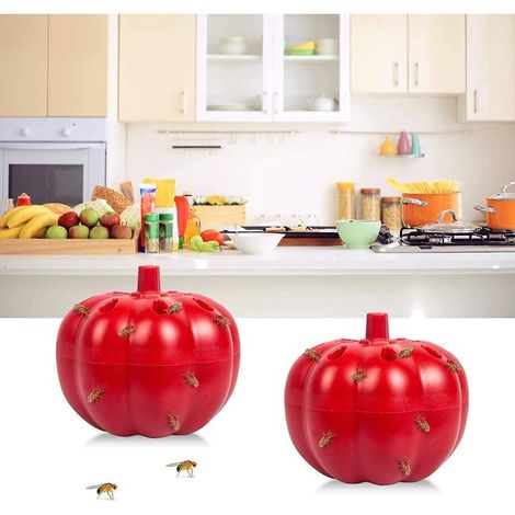 2 Piges-pige Mouches Fruits Prt L'emploi Pour L'intrieur, Pige Mouches Fruits Pour Cuisine, Non Toxique Et Sr (1/5)